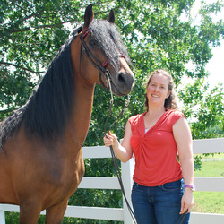 Sarah Reed holding the lead of a bay horse